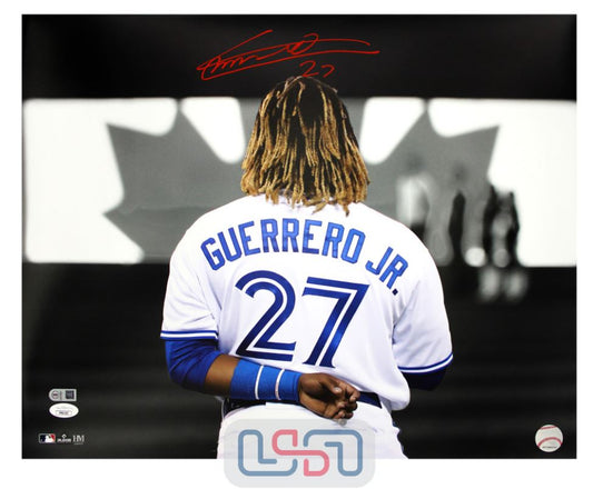 Vladimir Guerrero Jr - 16x20 Photo 1